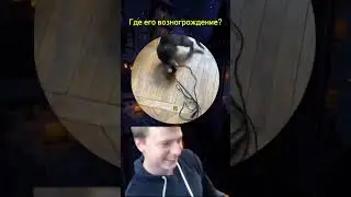 у меня кот мышь  поймал