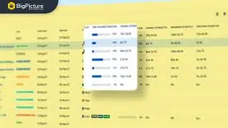 BigPicture Enterprise - a premium extension to BigPicture.