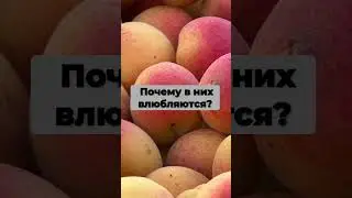 Гороскоп #почему #ихлюбят #дева #близнецы #лев #козерог #весы #овен