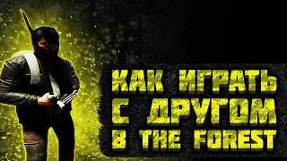 Как играть с другом по сети в The Forest по пиратке