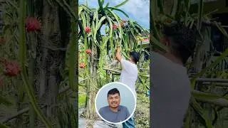 3 Lakh Income #shorts #ytshorts