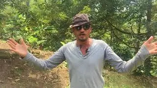 власть эмоций