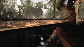 The Japanese are Invading!