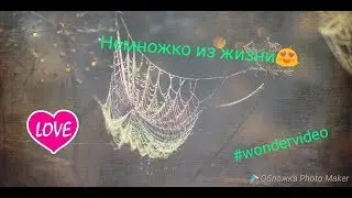 НЕМНОГО ИЗ ЖИЗНИ БЛОГЕРА! ВОСПОМИНАНИЯ ЛЕТА! 😘