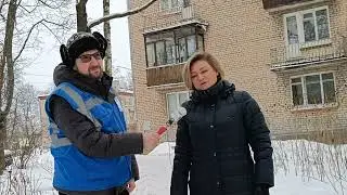 10 01 2023 ЗНОПы Стрельны   что это, и как они будут убираться
