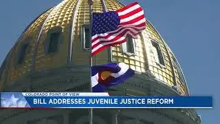 Former Prosecutor Lisel Petis Discusses Potential Future of Juvenile Justice in Colorado