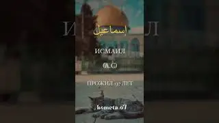 Сколько лет жили пророки