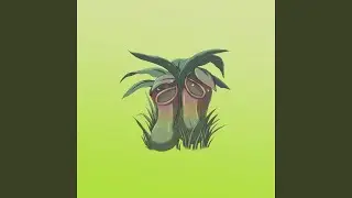 Fruit Flies
