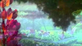Saudade