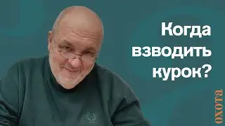 When to cock the trigger? Valery Kuzenkov on safety precautions.