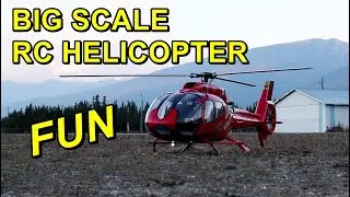 Big Scale RC Helicopter Flight - 800 Size Roban EC130 & Scale Pilot