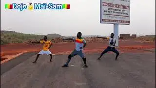 Karaté Shotokan regardé jusqu'à la fin c'est du K.O