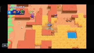 Shelly with Super in a nutshell
