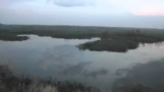 берег Кубани. Вечер.