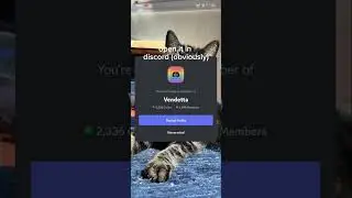 how to install a discord mod and themes (vendetta android)
