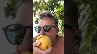 Как есть Манго не имея Ножа - How to eat Mango without a Knife