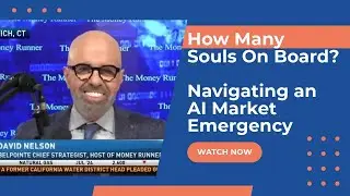 How Many Souls On Board? Navigating an AI Market Emergency