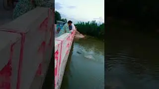 এদের সাহস দেখলে আপনি অবাক হবেন