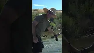 Bowfishing from the raft was a highlight! Check out the full video! #fishing #fishinglife #outdoors