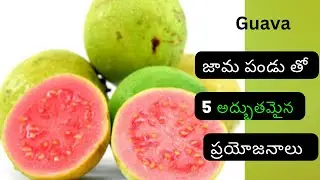5 Amazing health benefits of Guava