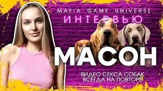 ИНТЕРВЬЮ МАСОН - ВИДЕО ВЯЗКИ СОБАК ВСЕГДА НА ПОВТОРЕ! МАФИЯ БАЛАГАН!