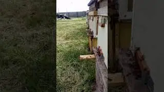 3 июля 2018 г.