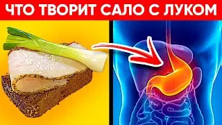 ВОТ ЧТО ТВОРИТ САЛО С ЛУКОМ! (Реальная Польза и Вред Лука с Салом)