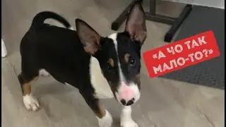 Я тебе не 🤡 клоун цирковой!