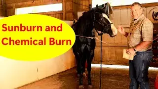 Don't let this happen to your horse