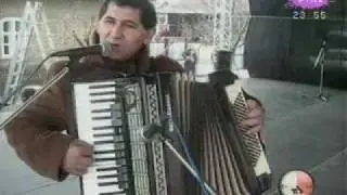 the wall + paranoid 'armonika