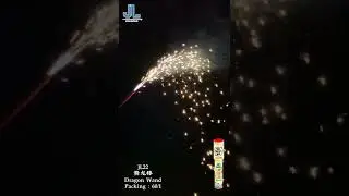 舞龙棒 | Dragon Wand