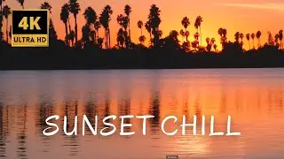 ☀️  AND CHILL, RELAXING LOUNGE MUSIC FOR GOOD VIBES, TROPICAL BEACHES WITH CALMING WAVES 4K UHD 🌻🍯🍋💛