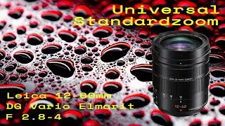 Lumix Leica DG Vario Elmarit 12-60mm / Persönlicher Praxisbericht