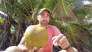 ОСТАТЬСЯ В ЖИВЫХ