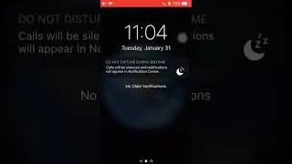 iOS 12 airplane UI bug #ios12 #iphone5s