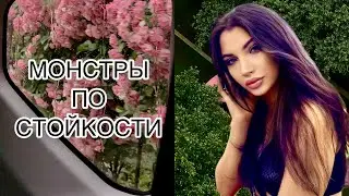 ЧЕМПИОНЫ ПО СТОЙКОСТИ И ШЛЕЙФУ ЗА МНОГИЕ ГОДЫ 💕