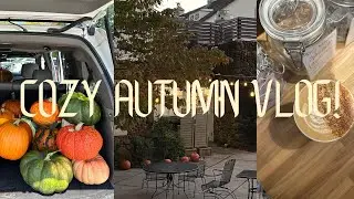 Cozy autumn Vlog! fall coffee shop, Antiquing, and getting more chickens!
