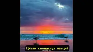 Цхьан къонахчух лаьцна Хьехам