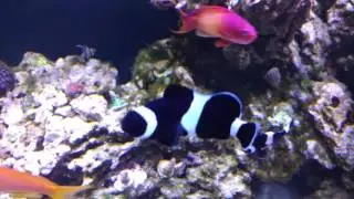 180 Update 3/27/17