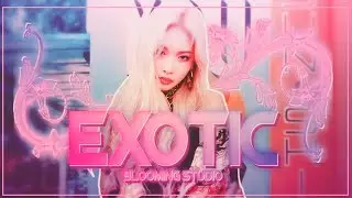 MEP #8 ❀ EXOTIC ❀