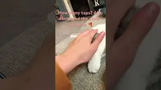 #cats