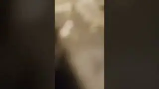 كلام في خسة الغدر والخيانة