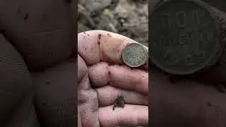 Раскопал избу лесника! Находка за находкой.. Поиск с металлоискателем