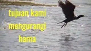 yang penting HAPPY.. hunbar ditambak sidoarjo