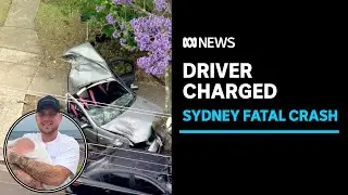Alleged driver charged over car crash that killed two boys in Sydney's south-west | ABC News