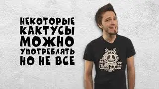 Полный адекват   Кактусизм и Мескалин
