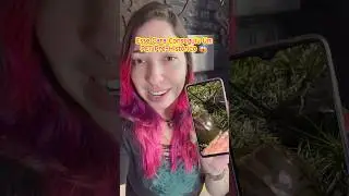Você já tinha visto esse animal?