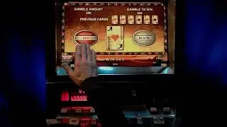 Играю в Book of Ra и Lucky Lady's Charm! Поставил 41 тыс
