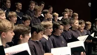 Leipziger Symposien zur Kinder- und Jugendstimme