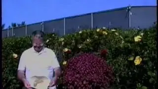 Gale Cuff's old Hawaii Video